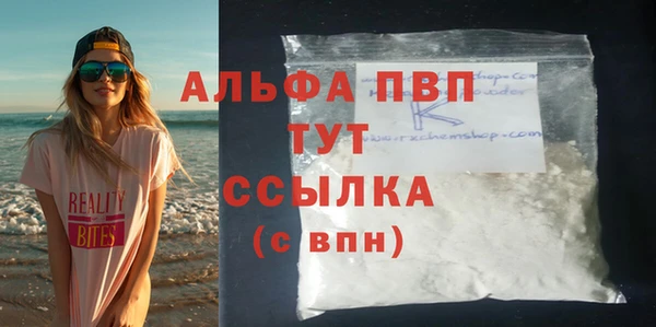 прущие грибы Елизово