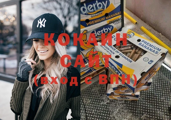 шишки Ельня