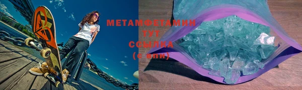 прущие грибы Елизово