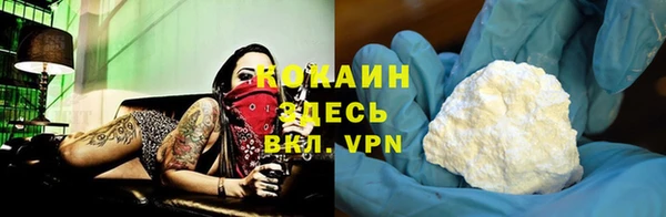 прущие грибы Елизово
