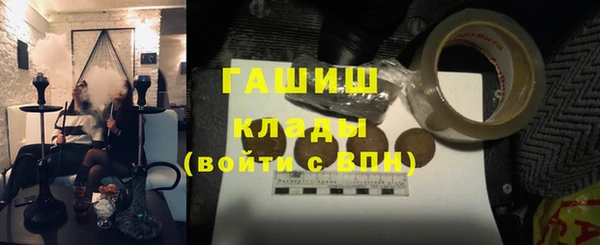 прущие грибы Елизово