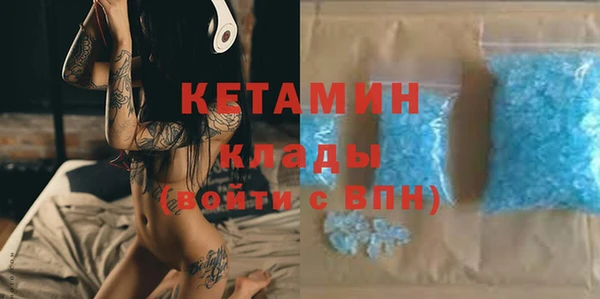 шишки Ельня