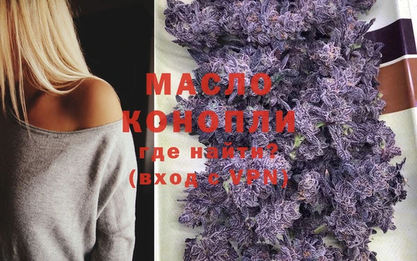 шишки Ельня