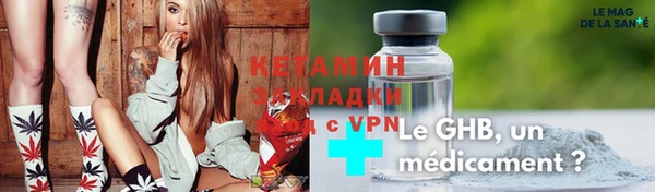 прущие грибы Елизово