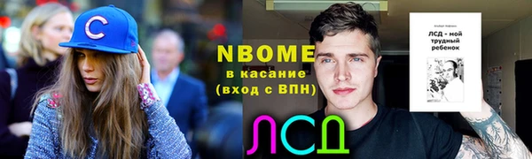 шишки Ельня
