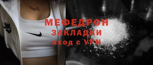 шишки Ельня