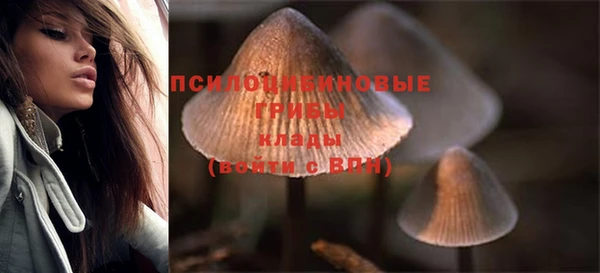 кристаллы Заводоуковск