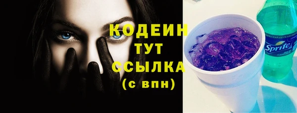 стаф Елабуга