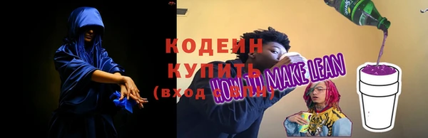 шишки Ельня