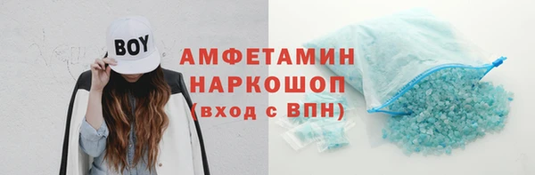 шишки Ельня