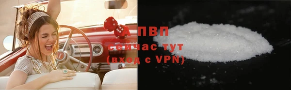 прущие грибы Елизово