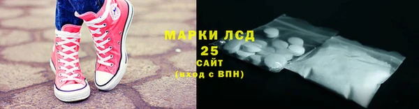 прущие грибы Елизово