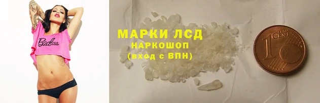 прущие грибы Елизово