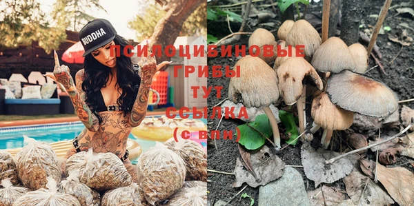 молекула духа Заволжье