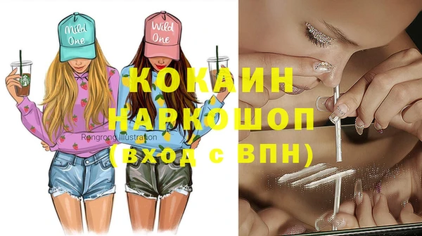 шишки Ельня