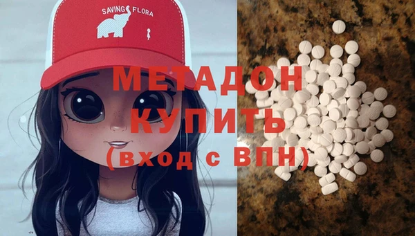 шишки Ельня