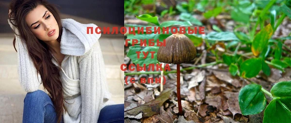 шишки Ельня