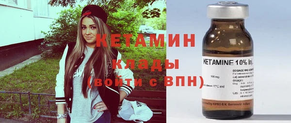 шишки Ельня