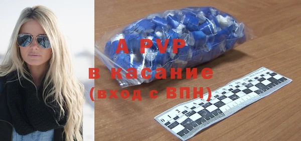 шишки Ельня