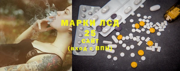 шишки Ельня
