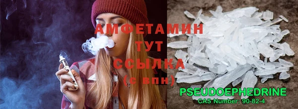 прущие грибы Елизово