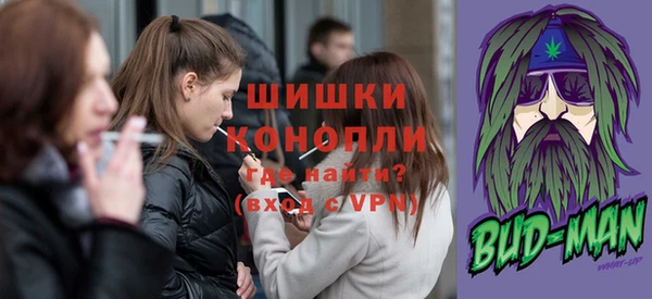 прущие грибы Елизово