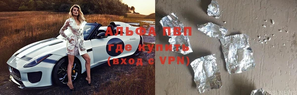 прущие грибы Елизово