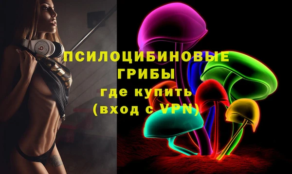 шишки Ельня