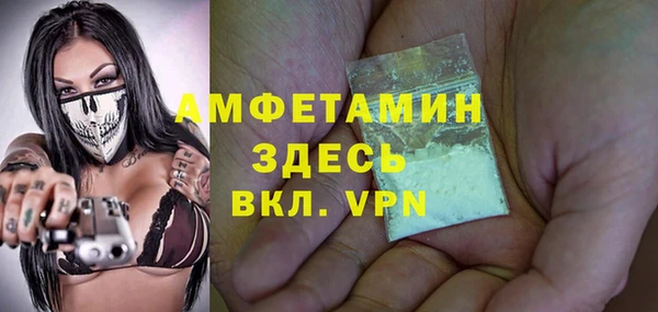 прущие грибы Елизово