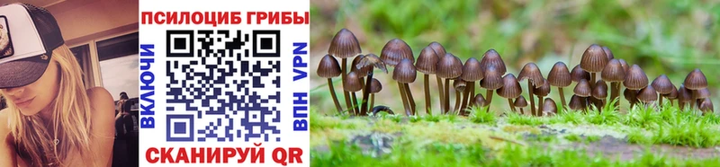 Галлюциногенные грибы Psilocybe  Купить закладки  Томск 